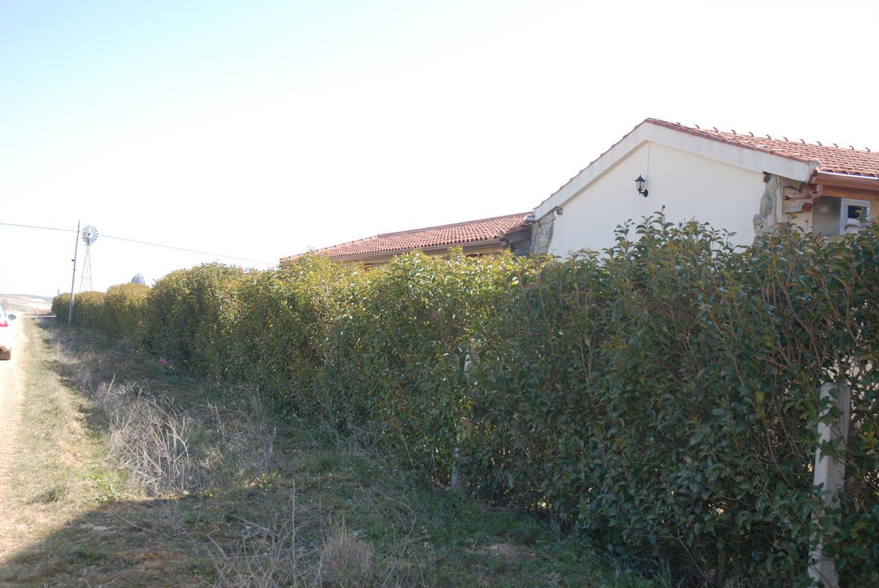 Casa Rural Teso De La Encina Villamor de los Escuderos Extérieur photo