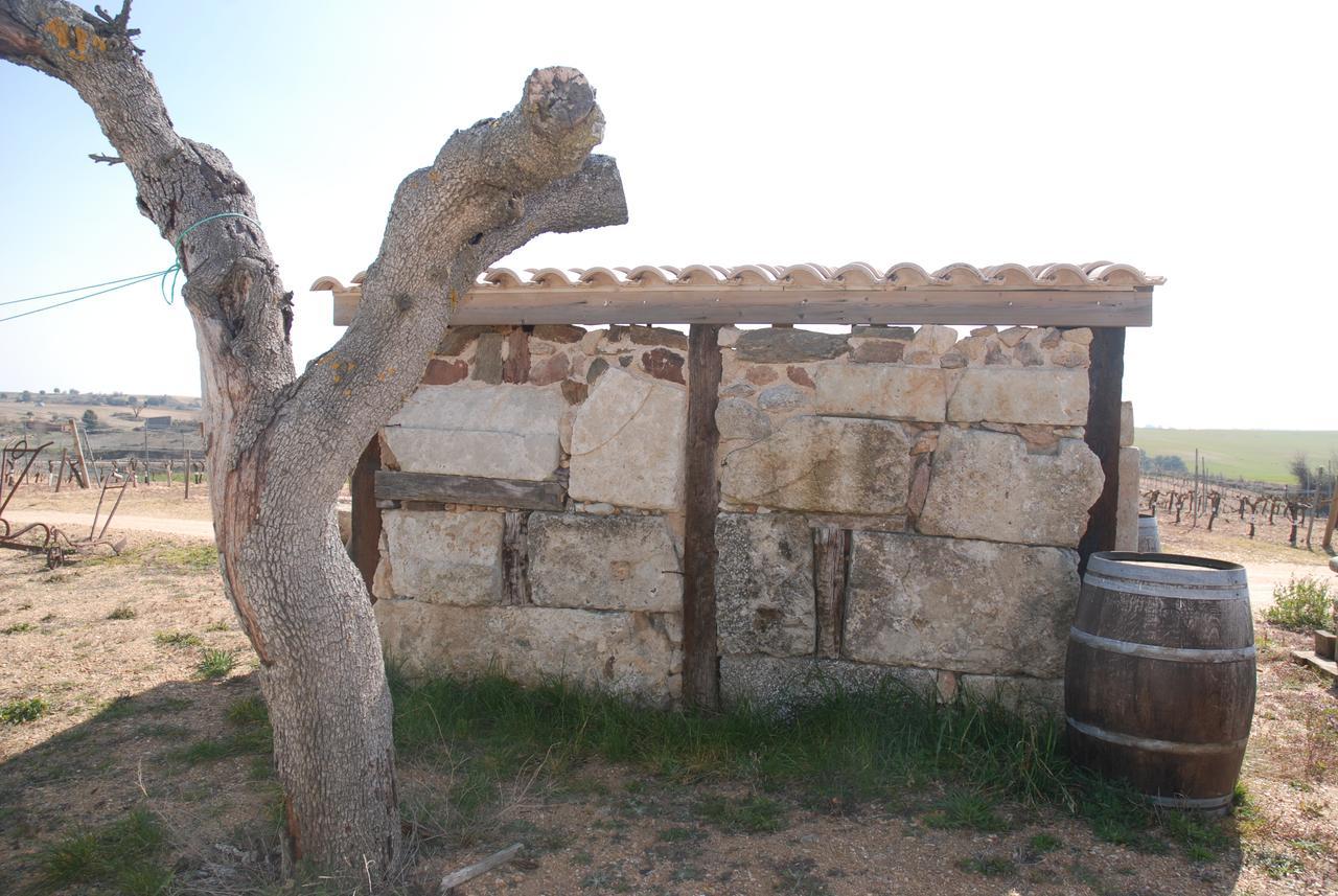 Casa Rural Teso De La Encina Villamor de los Escuderos Extérieur photo